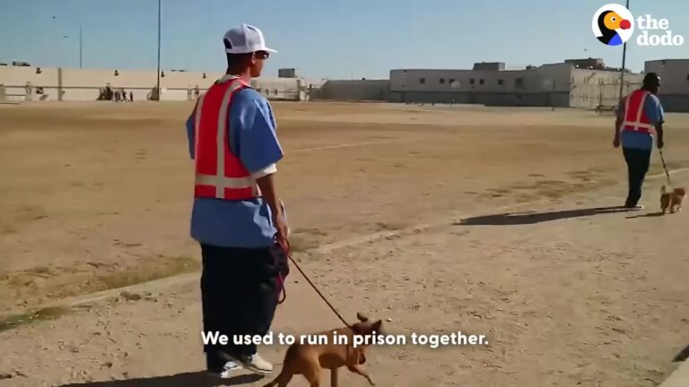 California Inmate Met A Terrified Shelter Dog, And Their Bond Changed The Course Of His Life