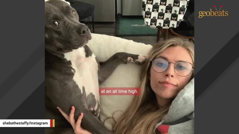 Georgia Dog Sat Quietly In Her Kennel While Others Barked, And A Lonely Woman Knew They Needed Each Other
