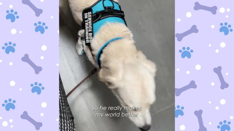 California Woman Struggled With Severe Anxiety Until A Special Puppy Opened Up Her World