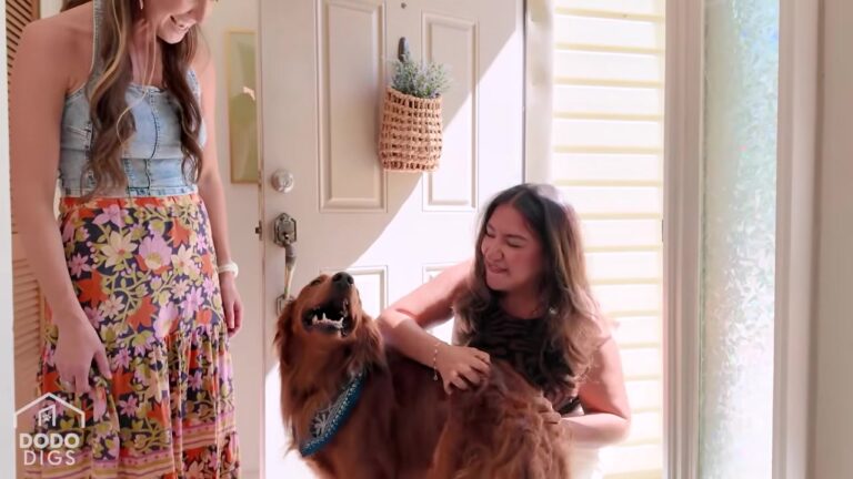 California Family Needed A Reason To Smile, But What They Built For Their Golden Retriever Leaves Visitors Stunned
