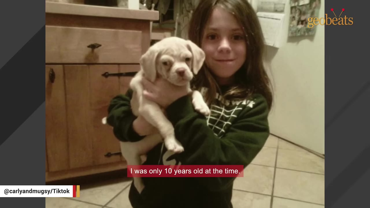 A young girl smiling while holding a light-colored puppy in her arms.