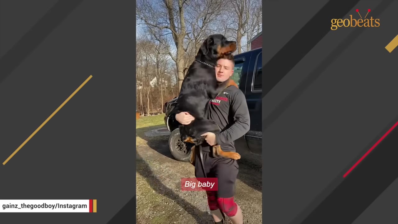 A man standing outdoors carrying a large Rottweiler dog in his arms.