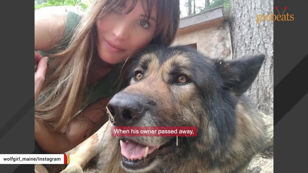 A woman rests her cheek against a large German Shepherd dog while leaning close together outside.