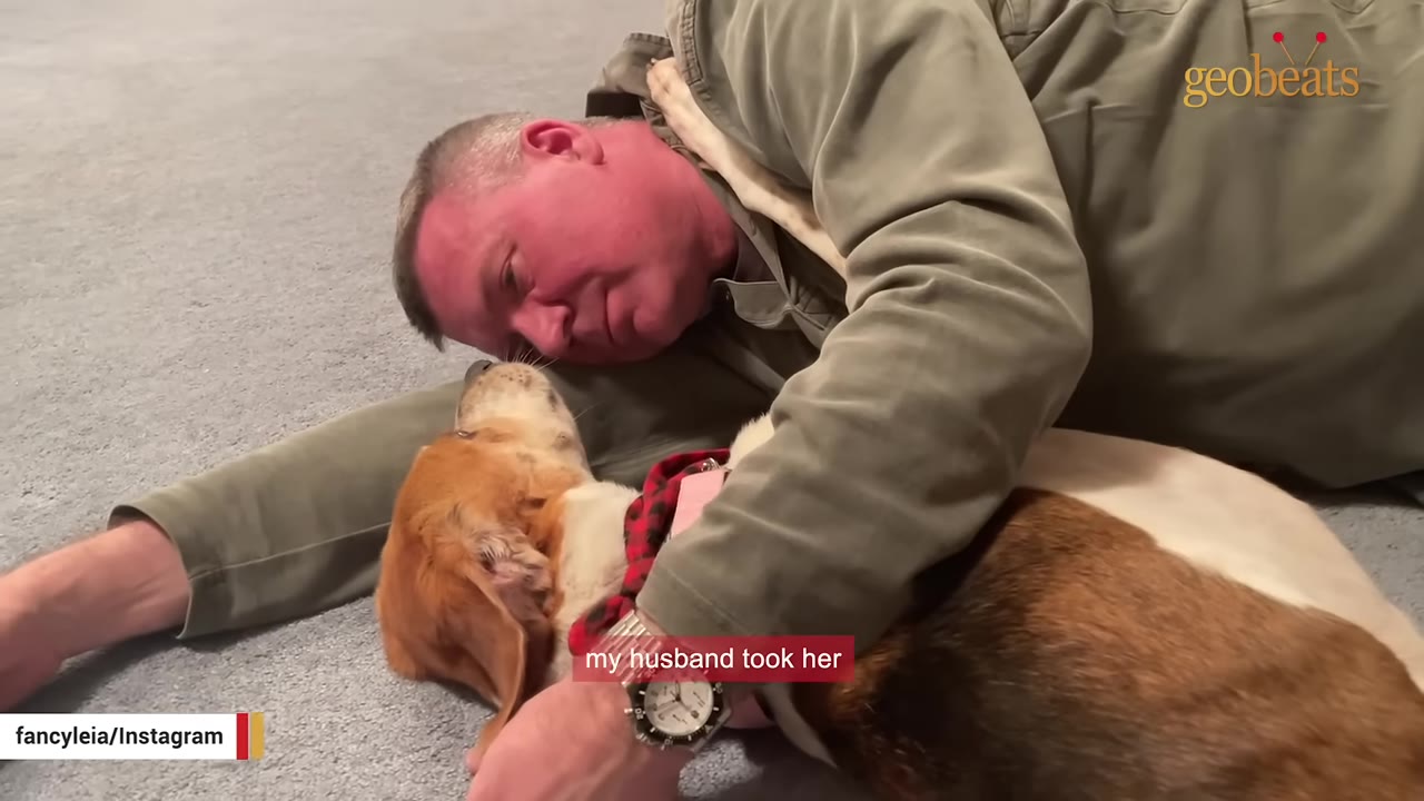 A man lying on a carpeted floor, warmly hugging a brown and white dog wearing a red plaid collar.