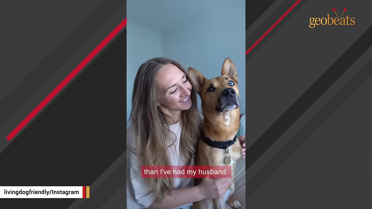 A smiling woman with long blonde hair hugs a tan dog with one blue eye and one brown eye.