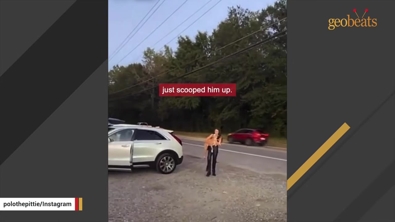 A woman standing by a highway next to a white car holding a brown and white dog she rescued.