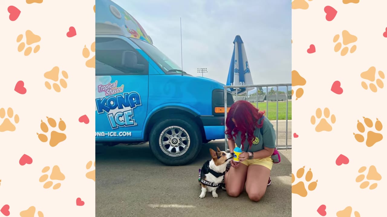 A young woman with red hair kneels next to a small Corgi wearing a black service dog vest, in front of a blue Kona Ice truck.