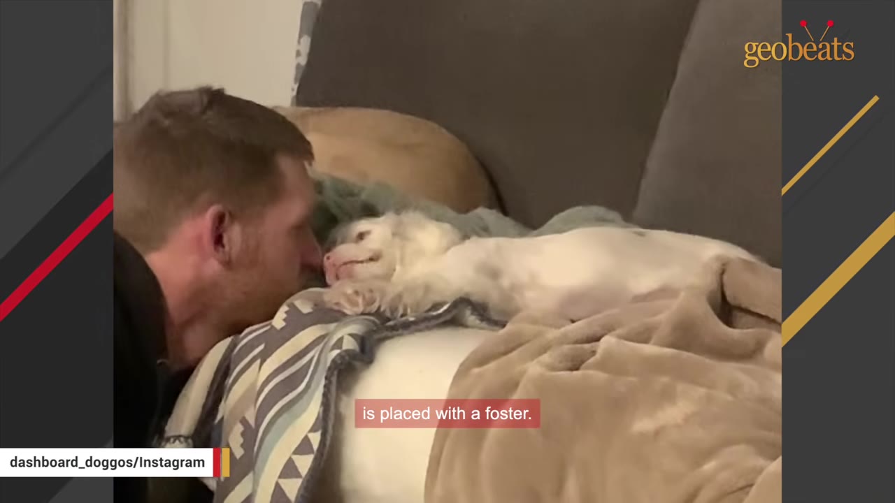 A man leaning in close face-to-face with a small white puppy resting on blankets on a couch.
