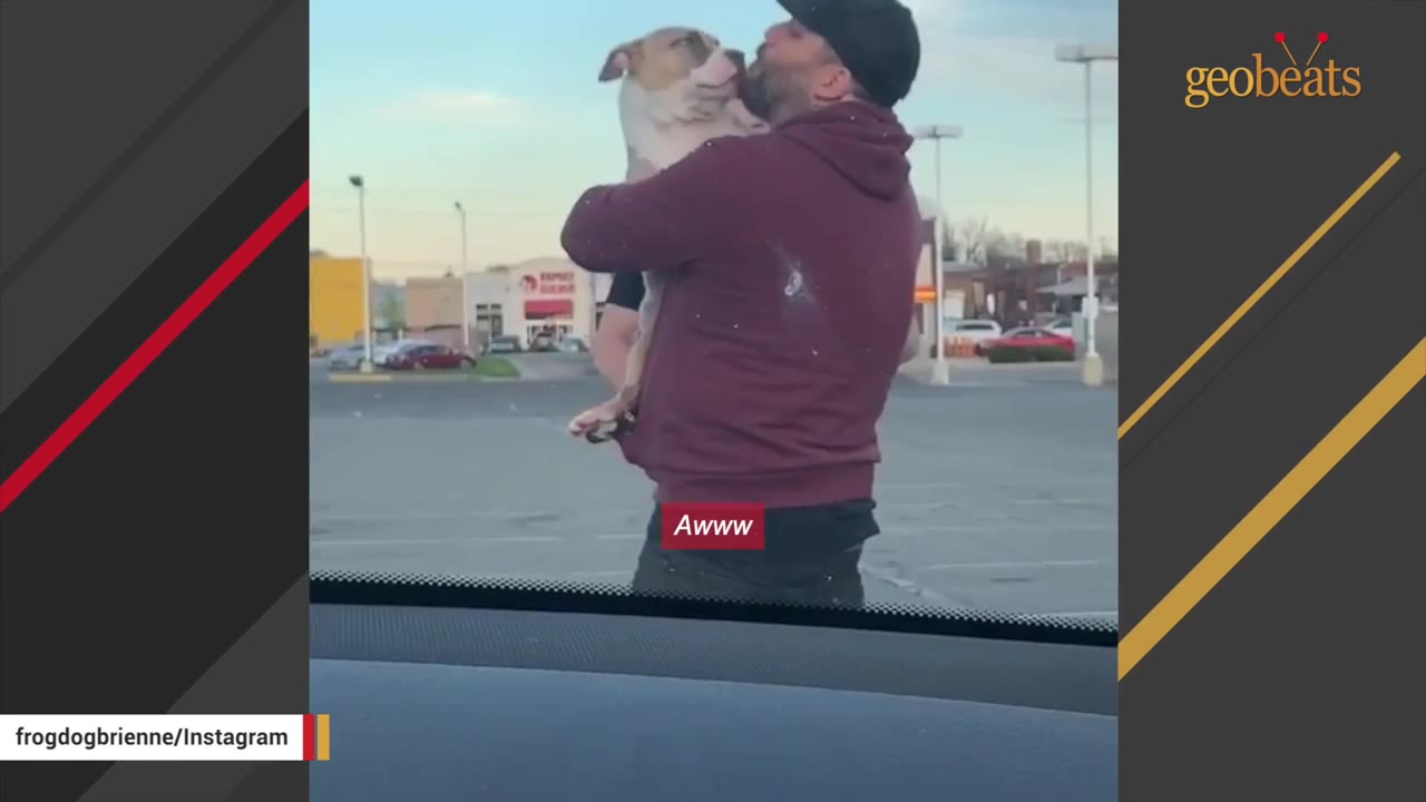 A man wearing a burgundy hoodie and black hat holding a tan and white pit bull-type dog in a parking lot.
