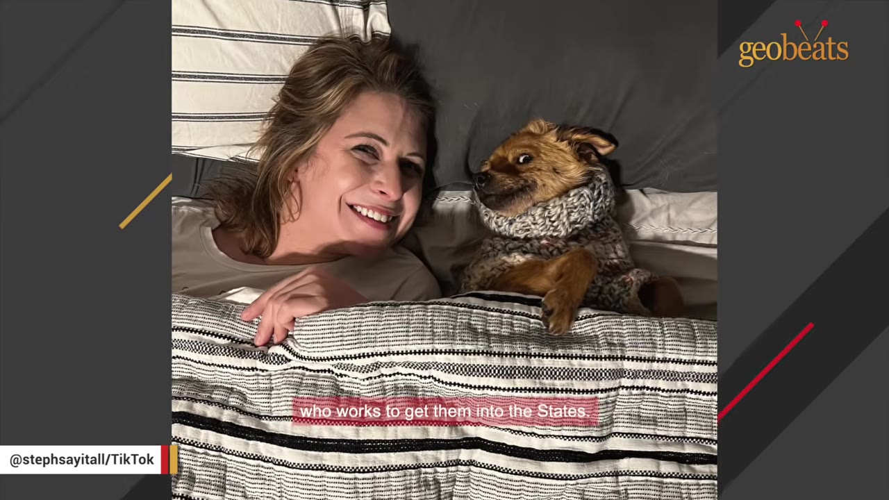 A smiling woman lies in bed next to a small brown dog wearing a knit sweater, both tucked under a striped blanket.