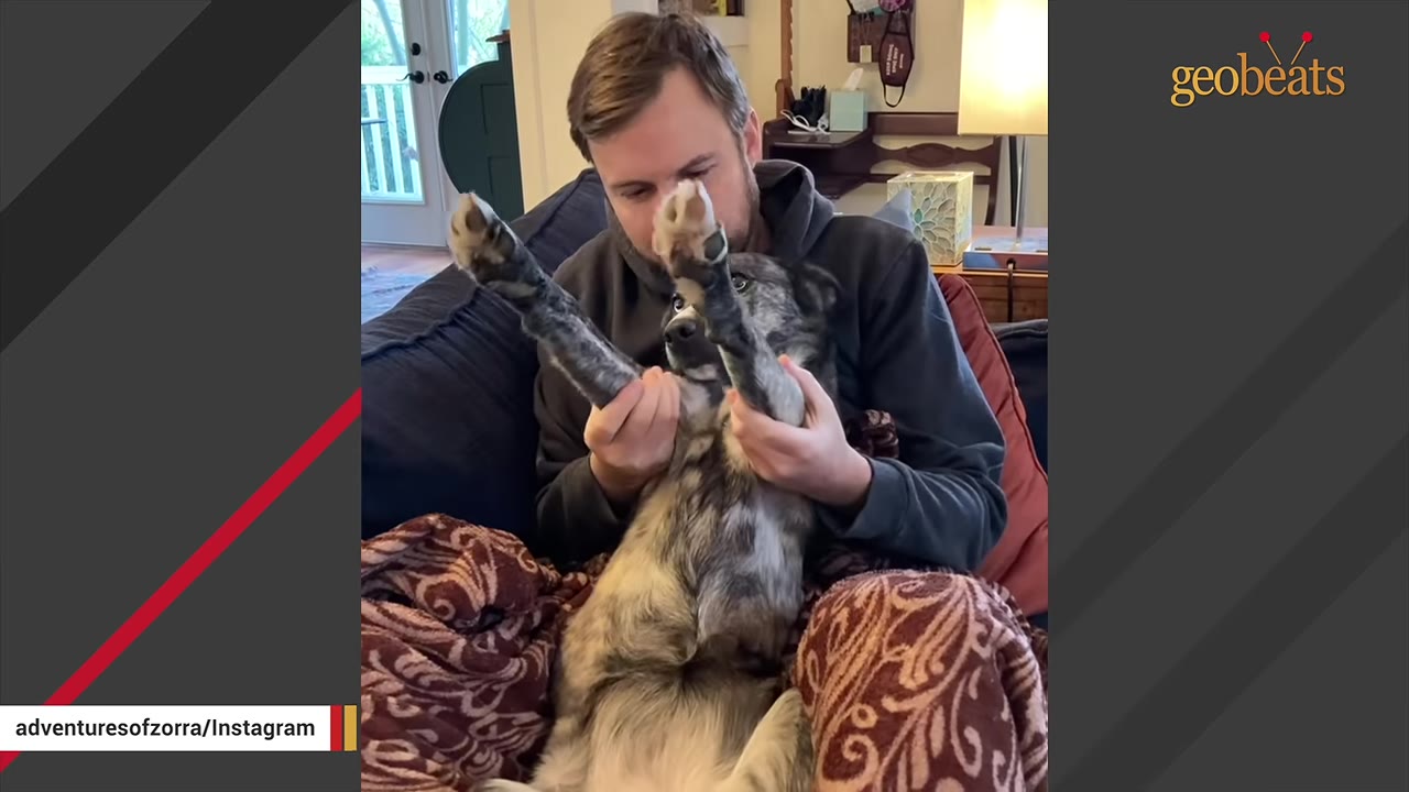 A man sitting on a sofa holding a gray and black speckled dog in his lap.