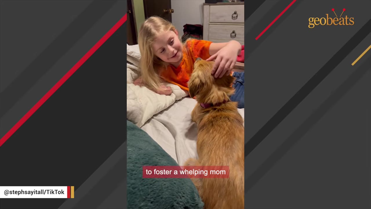 A young blonde girl lying on a bed, smiling as she gently pets a small golden-brown dog.