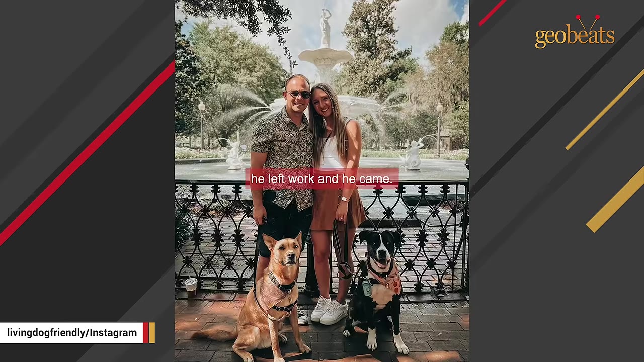 A man and a woman standing together in front of a fountain in a park, with two dogs sitting at their feet.
