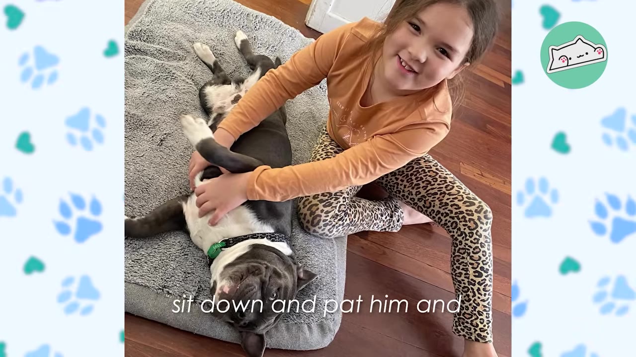 A young girl in leopard-print leggings smiles as she sits on a wooden floor and rubs the belly of a grey and white dog lying on its back on a dog bed.
