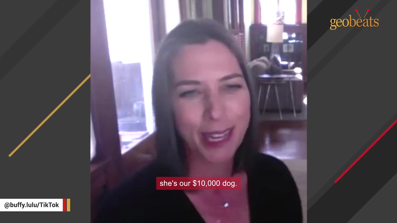 A woman speaking on a video call with a subtitle reading 'she's our $10,000 dog.'
