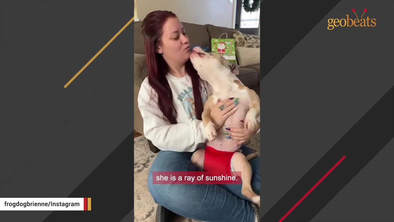 A woman holding a small light-colored dog on her lap while the dog licks her face indoors.