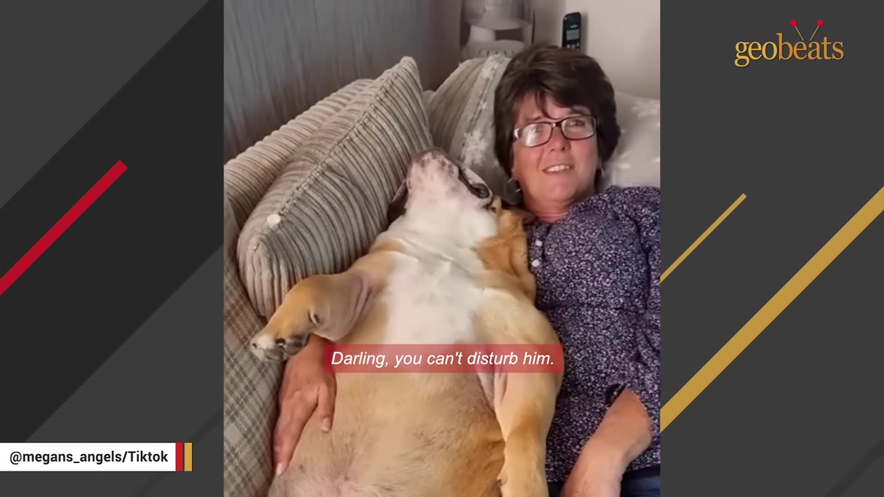 A woman with glasses smiles as a large bulldog lies comfortably on its back across her lap on a couch.