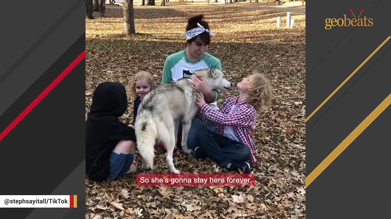 A woman sits on a leaf-covered ground outdoors with three young children and a grey and white Husky dog.