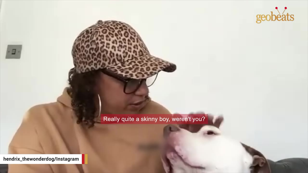 A woman wearing a leopard-print cap and glasses looks down at a white dog, with a subtitle that reads 'Really quite a skinny boy, weren't you?'