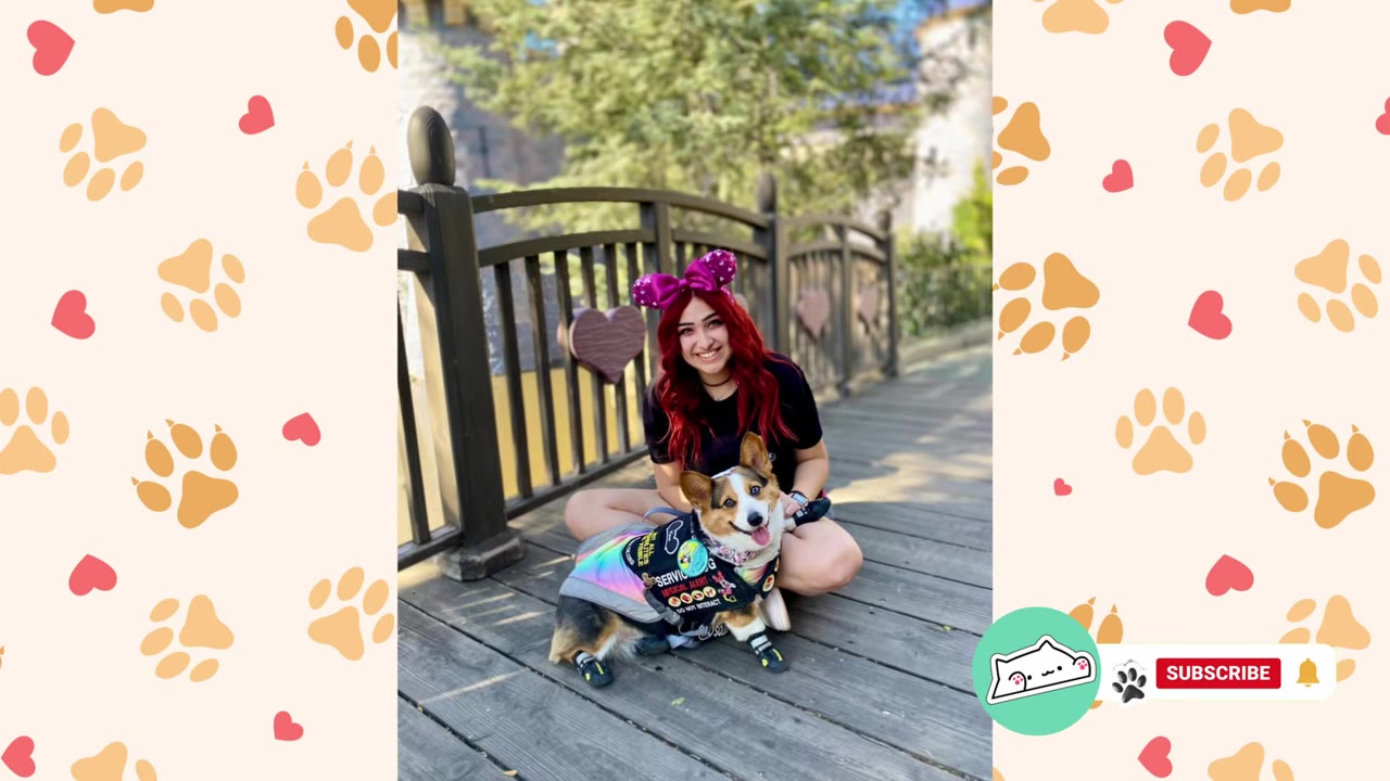 A young woman with red hair wearing pink mouse ears sits on a wooden bridge next to a corgi wearing a colorful service dog vest.