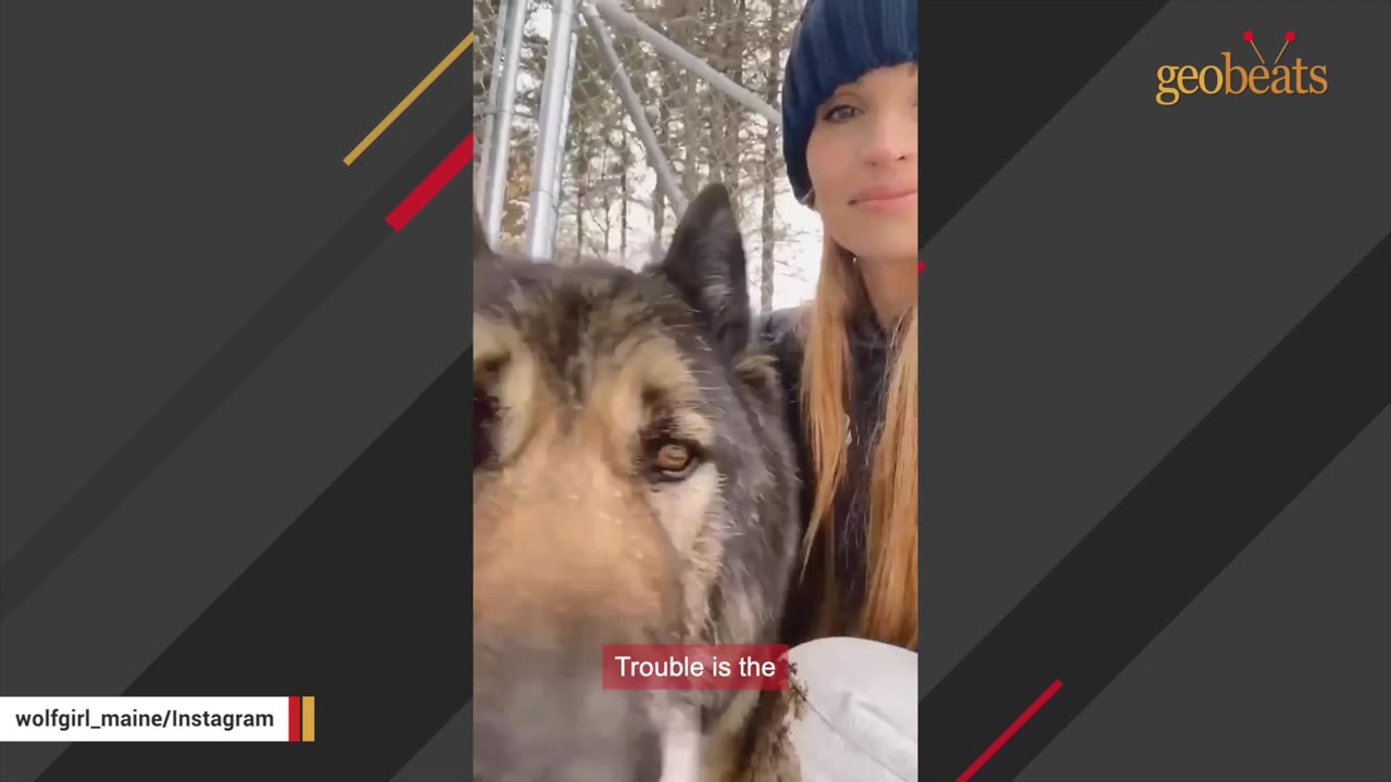 A close-up shot of a large wolfdog named Trouble next to a smiling woman wearing a blue knit beanie outdoors.