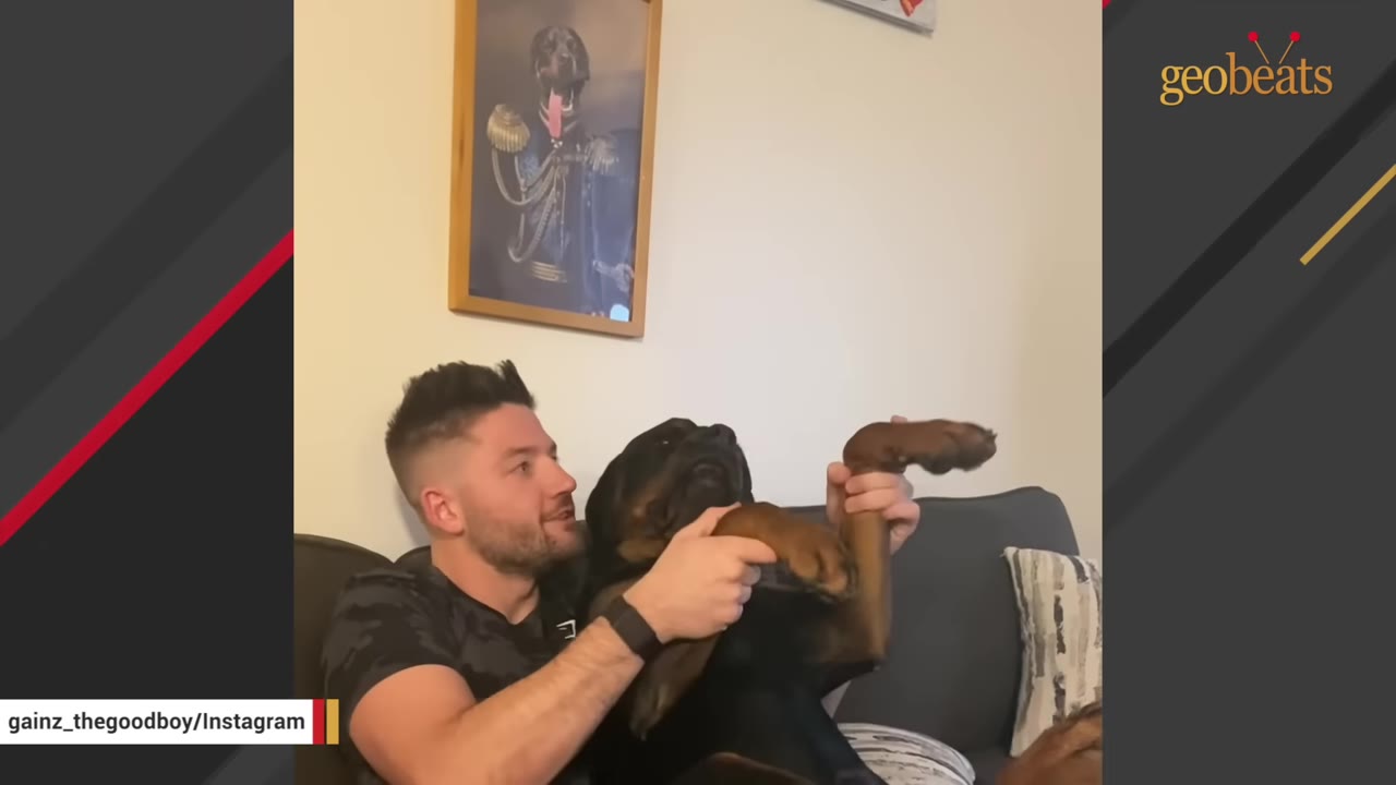 A man sitting on a couch holding up the paws of a large Rottweiler sitting next to him.