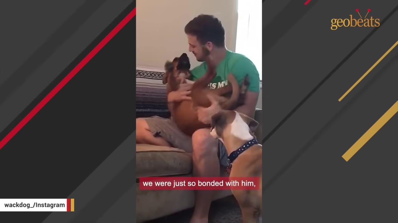 A man in a green t-shirt sits on a couch, holding a brown dog in his lap and smiling at it, illustrating their close bond.