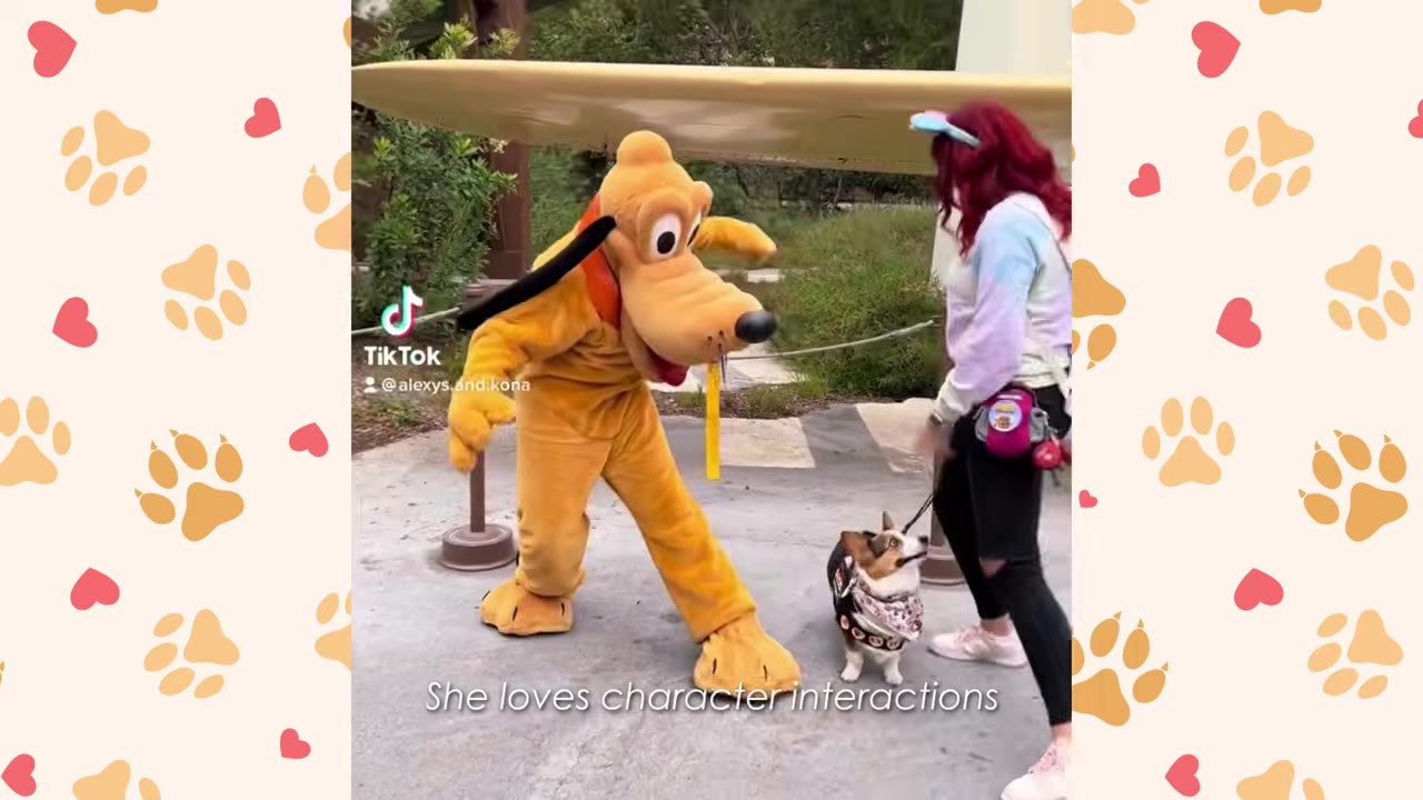 A young woman with red hair wearing mouse ears stands with her corgi dog on a leash as they interact with the Pluto character at Disneyland.