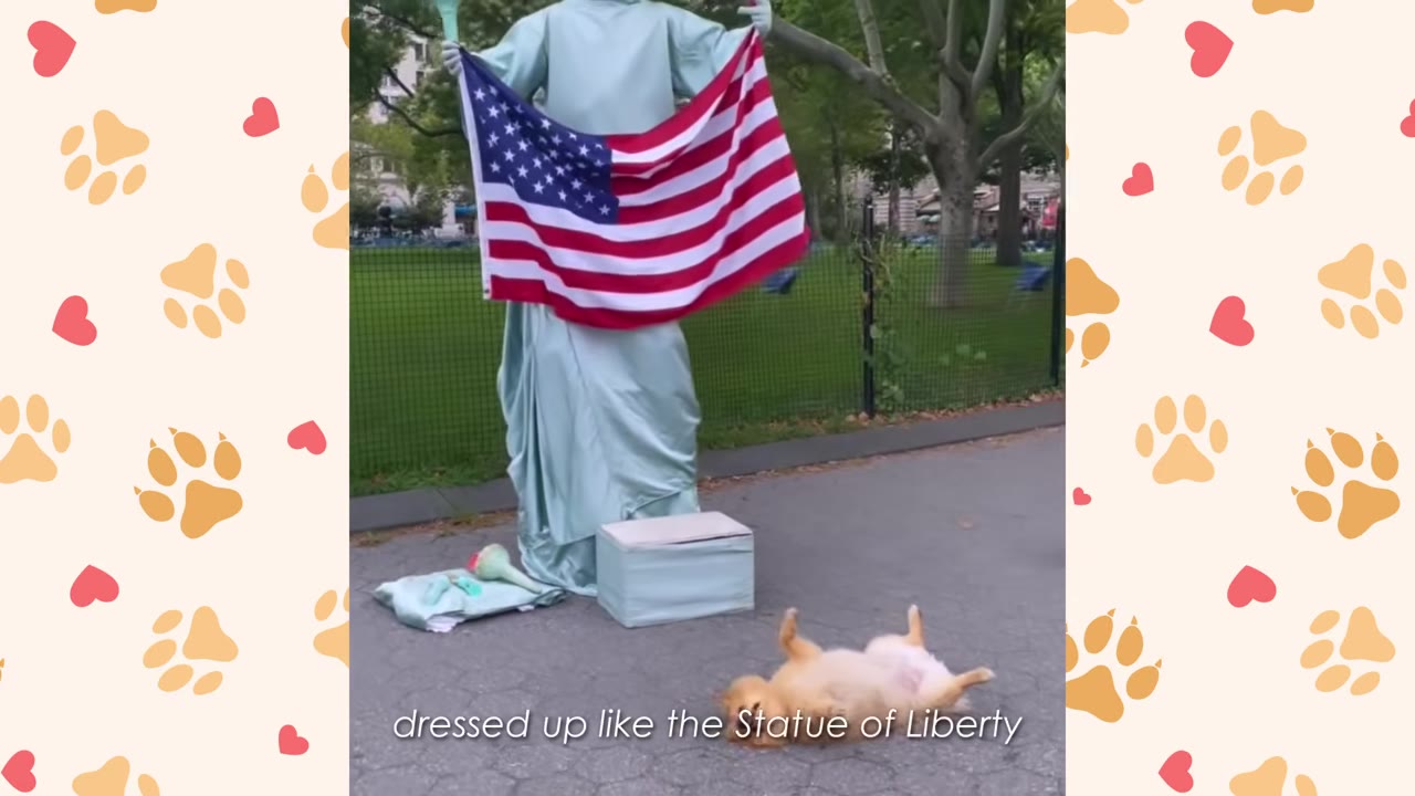 A small fluffy dog lying on its back on the pavement in front of a street performer dressed as the Statue of Liberty holding an American flag.