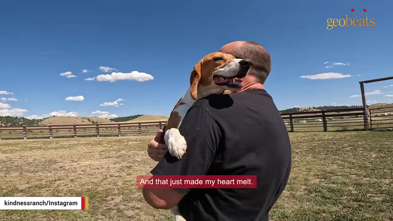 A man in a black t-shirt holds a happy beagle in his arms in an open grassy field under a blue sky.