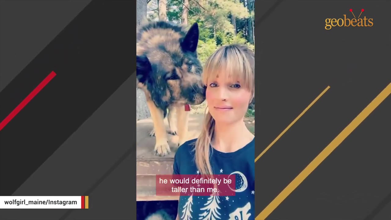 A woman smiles outdoors while a large wolfdog stands behind her and nuzzles near her face.