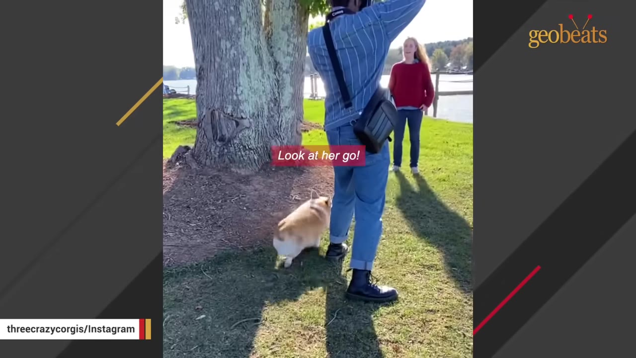 A photographer in a blue striped shirt and jeans holds a camera up to his eye, taking a photo of a woman in a red sweater standing in the background, while a corgi walks near his feet on the grass.