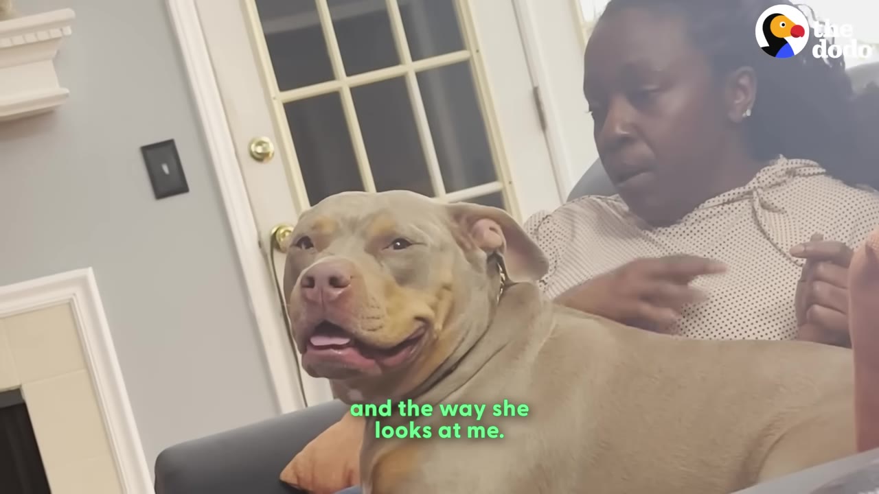 A tan dog smiling while sitting beside a woman sitting on a couch.