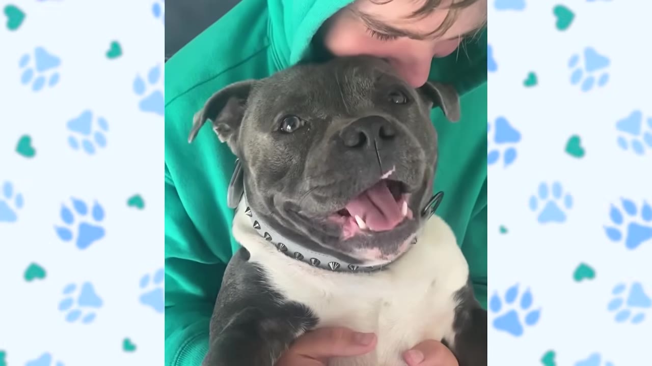 A grey and white dog with a wide, happy smile is held close by a person in a green hooded sweatshirt who is kissing the top of the dog's head.