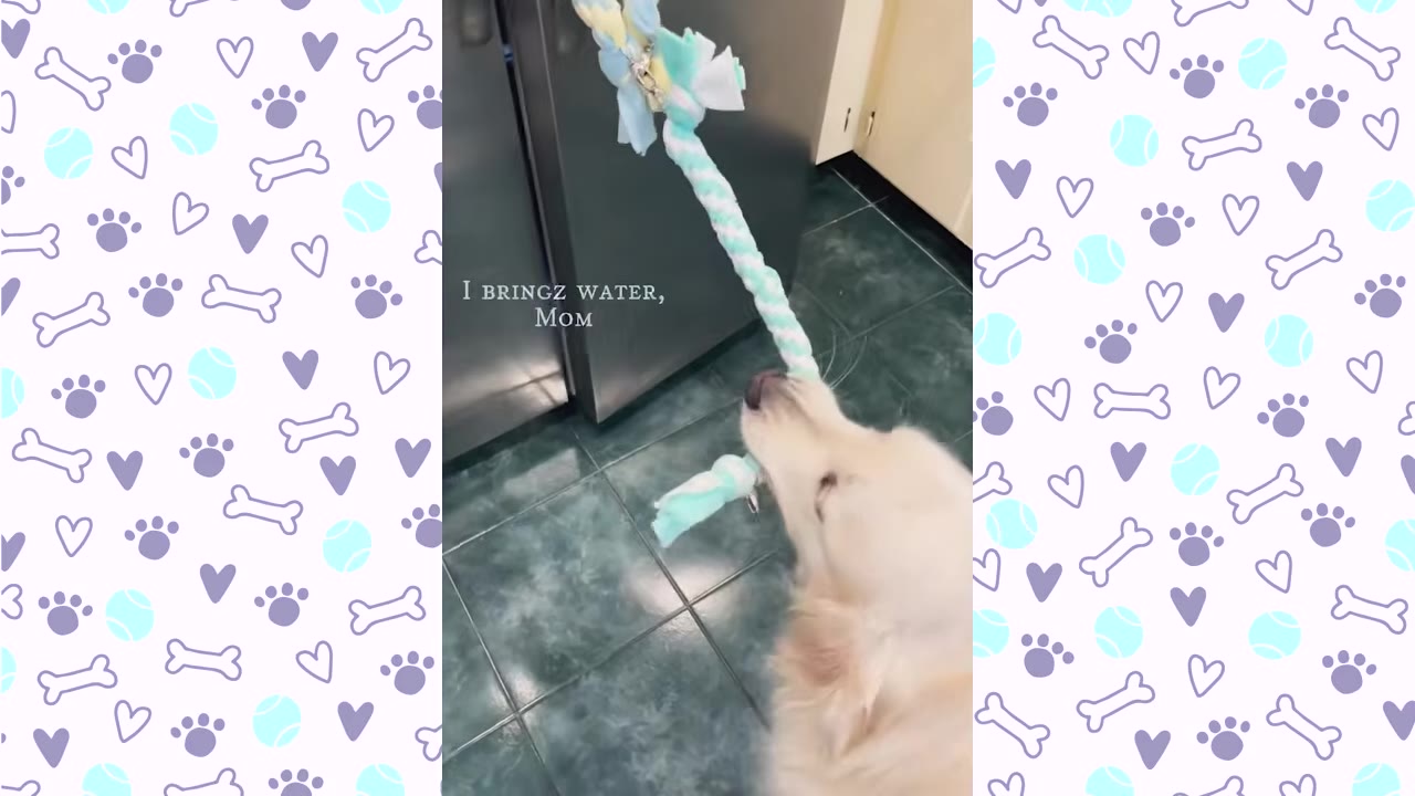 A golden retriever pulls a braided rope attached to a refrigerator door to open it.