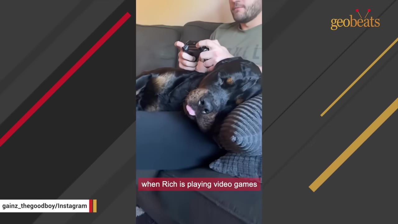 A man holding a video game controller while a large black dog rests its head on his lap.