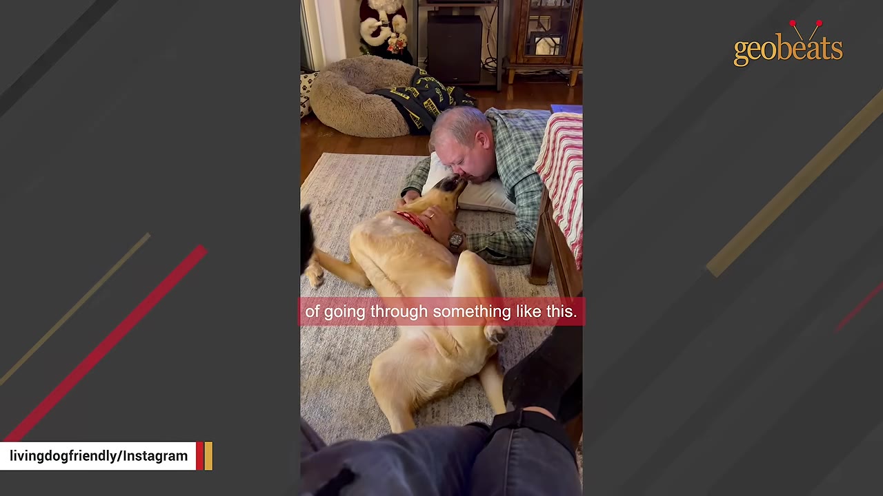 A man lying on a rug next to a tan dog on its back, gently kissing the dog's snout.