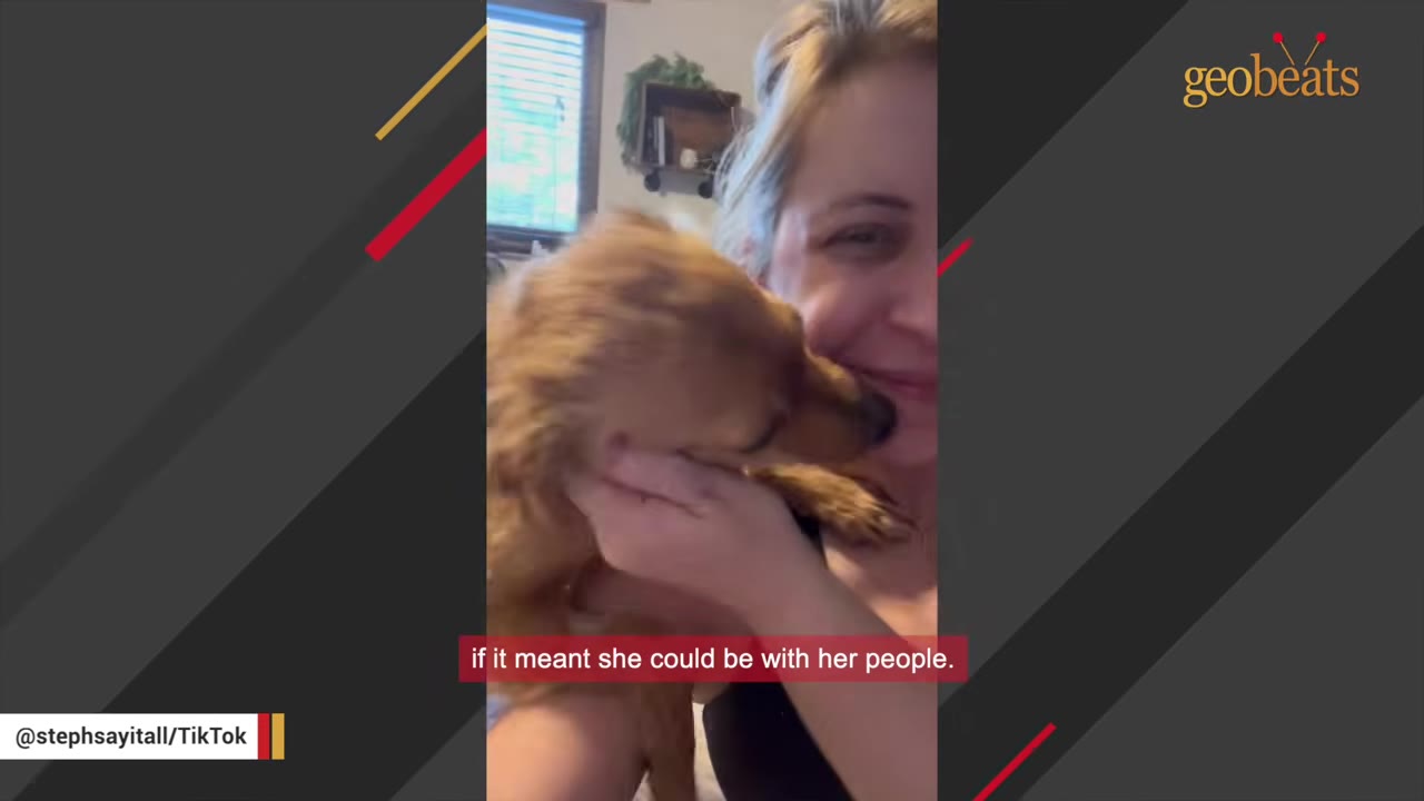 A smiling woman holding a small brown dog close to her face as the dog nuzzles her cheek.