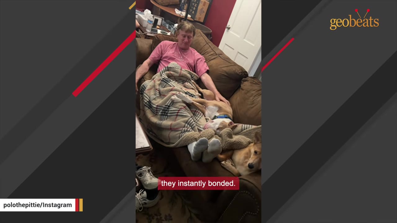A man relaxing on a couch under a plaid blanket while a dog rests comfortably across his lap.