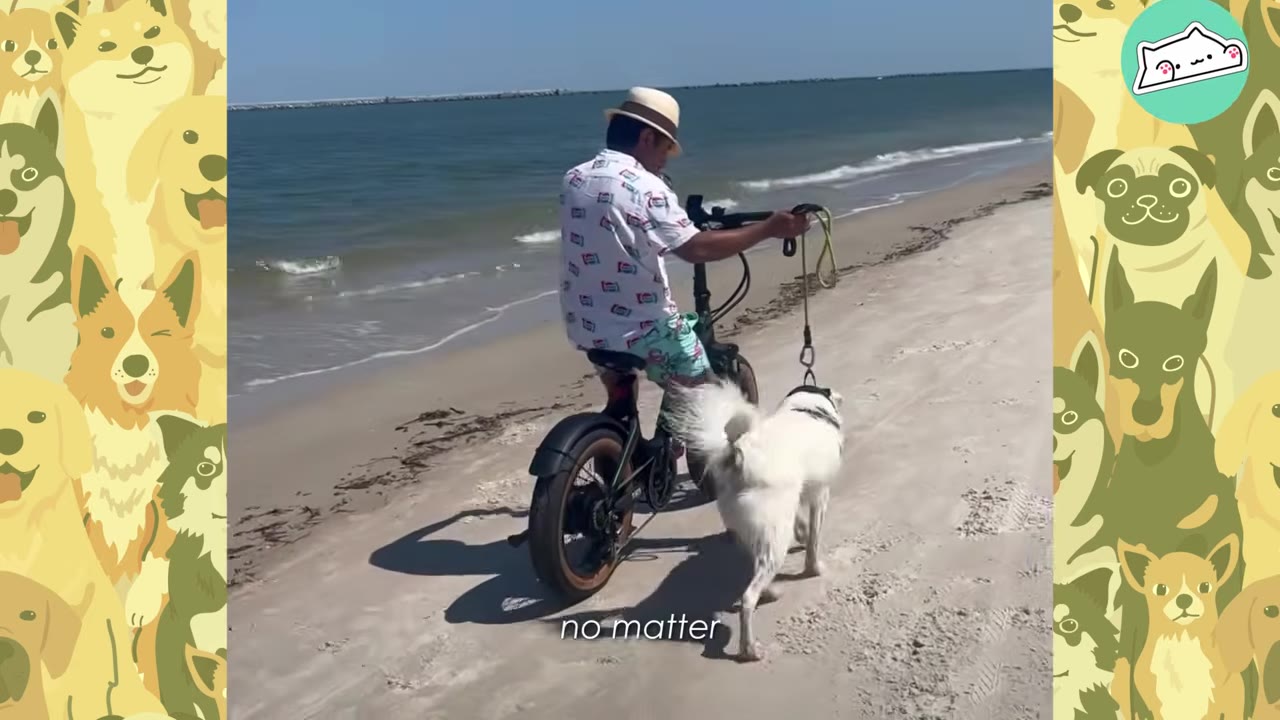 A man riding an electric bicycle on a sandy beach while walking a fluffy white dog on a leash alongside him.