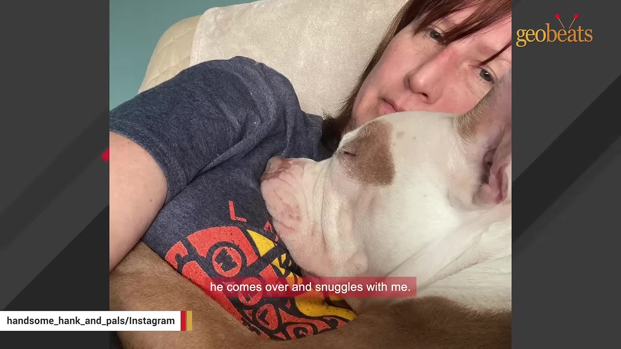 A white and tan pit bull rests his head lovingly against a woman's chest as they cuddle together.