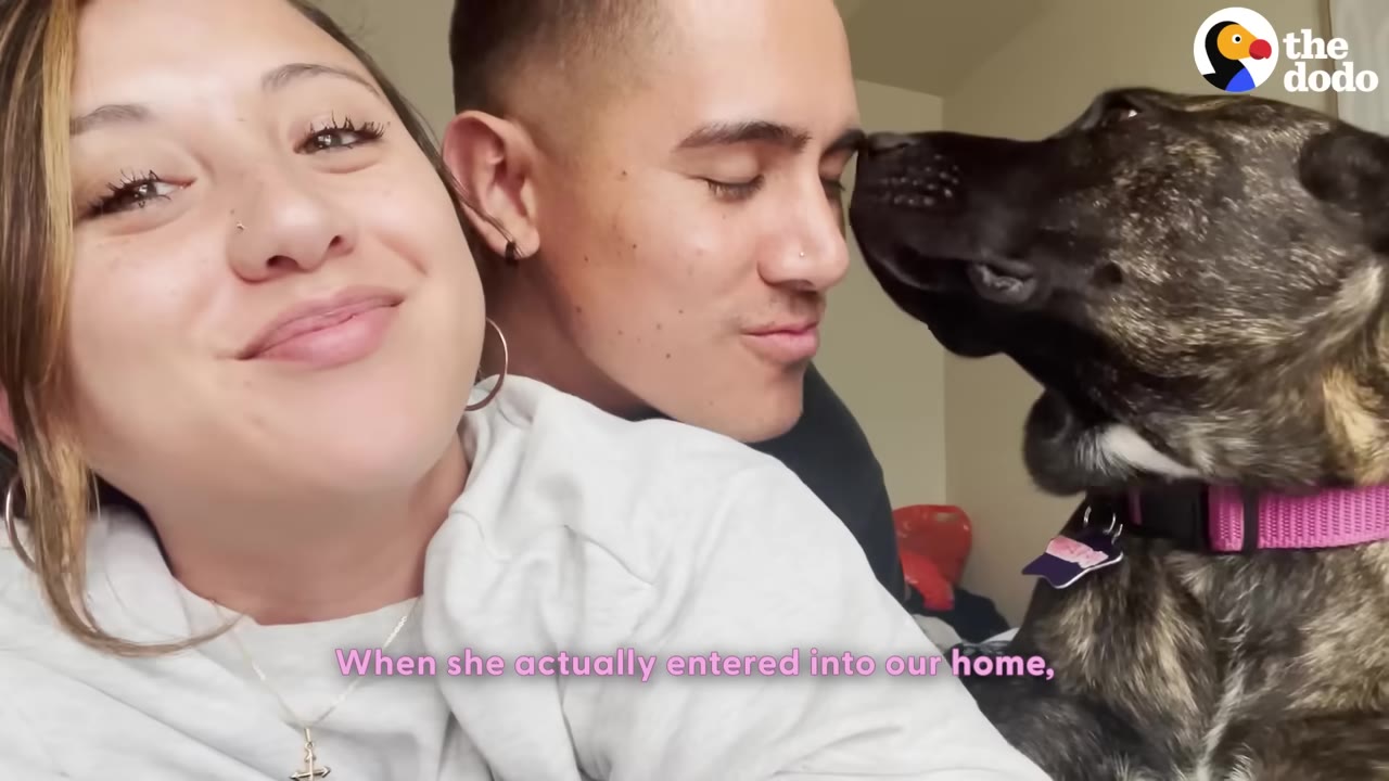 A woman and a man smiling while a brindle dog nuzzles close to the man's face indoors.