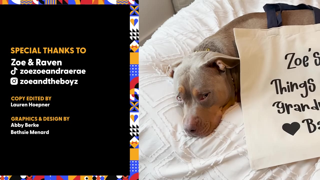 A gray dog lying on a white blanket next to a tote bag printed with text.
