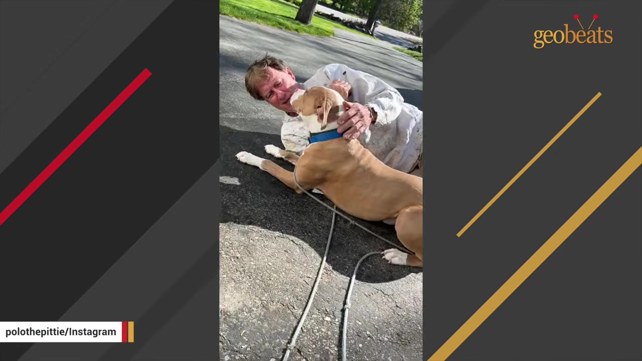 A man lying on an asphalt driveway smiling and leaning close to a tan pit bull dog wearing a blue collar.