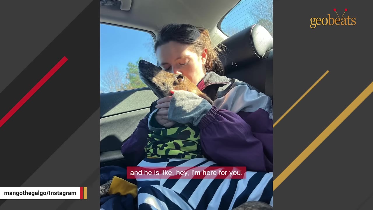 A woman sitting in a car holding a dog closely as the dog rests its head against her.