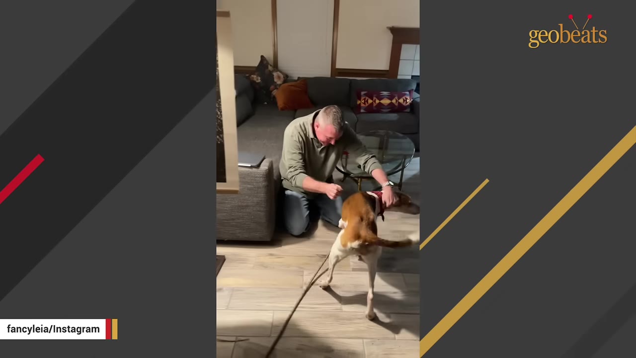 A man in a green shirt kneels on a wooden floor, gently holding and comforting a brown and white dog wearing a red bandana.