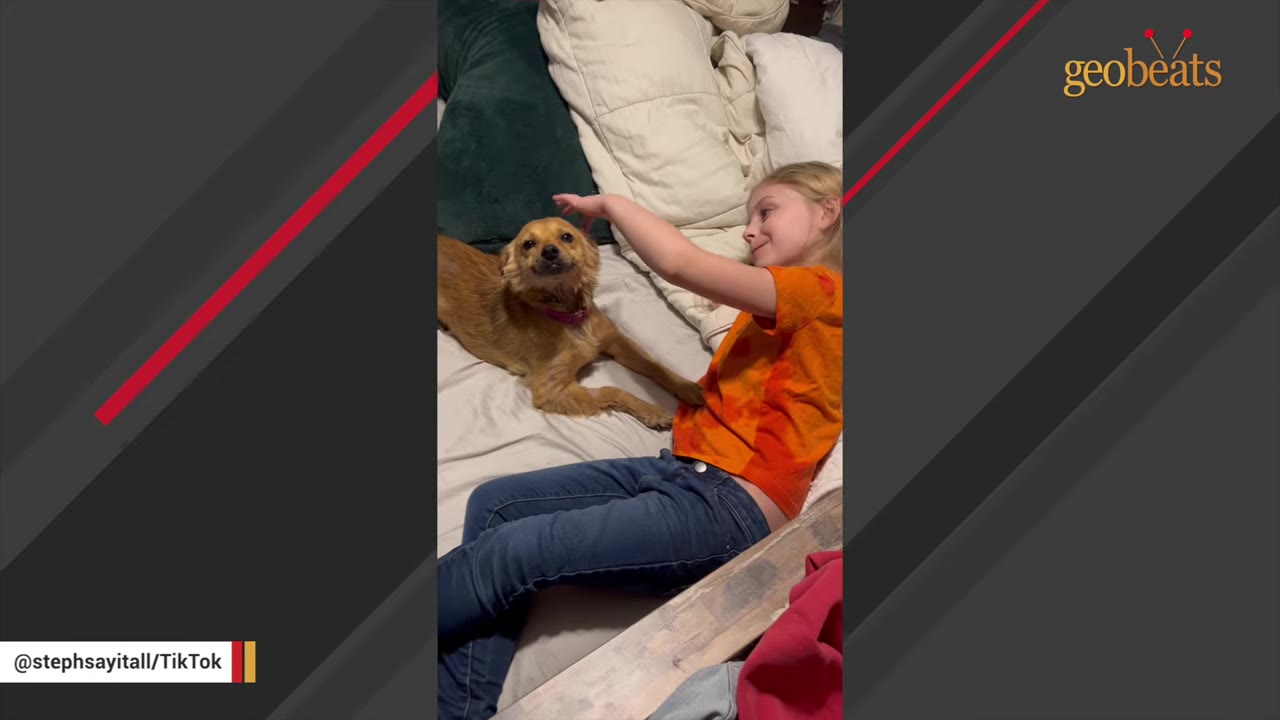 A young girl in an orange shirt and blue jeans lies on a bed, smiling as she gently pets a small, light brown dog.