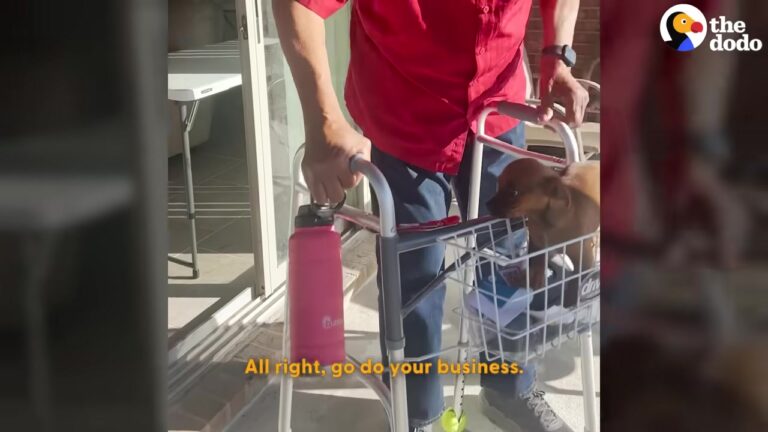 Georgia Man Recovering From Surgery Finds The Perfect Medicine In His Mischievous Little Shadow