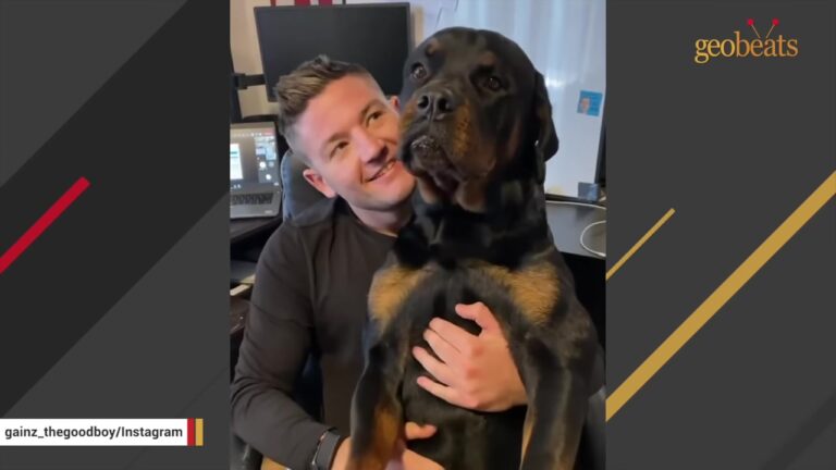Texas Dog And His Dad Look Like Two Tough Guys, But A Surprise Early Flight Home Reveals The Truth