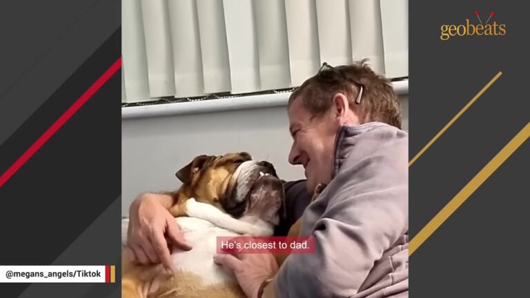 Lonely Pennsylvania Dog Was Left With Nowhere To Go, And His Owners Soon Made An Unexpected Decision